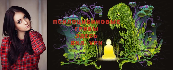 mdma Бородино
